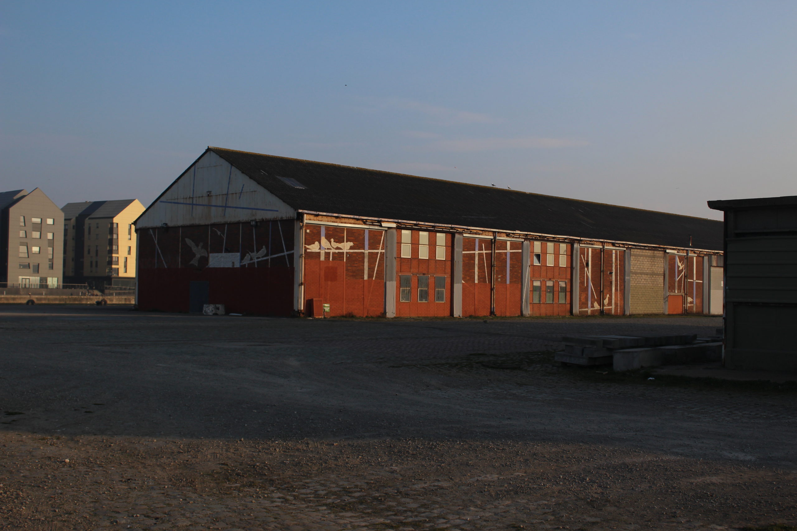 Les Mouettes en chantier | Journal de bord