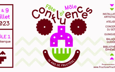 Retour sur Confluences | Fête du Môle x 15 ans de Fructôse