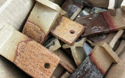 Lucie Pillon : Terrain Sensible